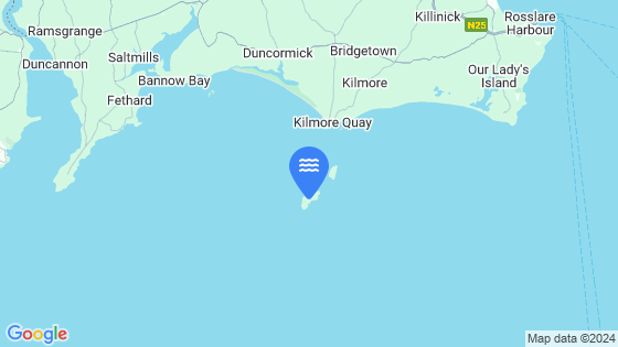 Map showing the location of Great Saltee